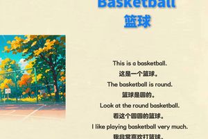 训练篮球翻译成英文怎么说